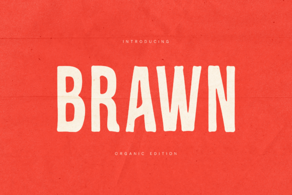 Brawn Typeface: The Bold, Vintage Font for Modern Brands