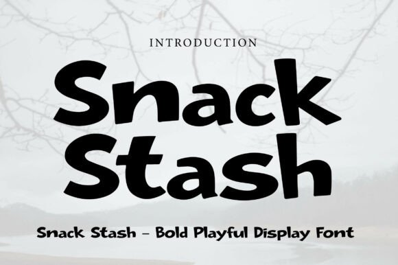 Unleash Bold Creativity with Snack Stash